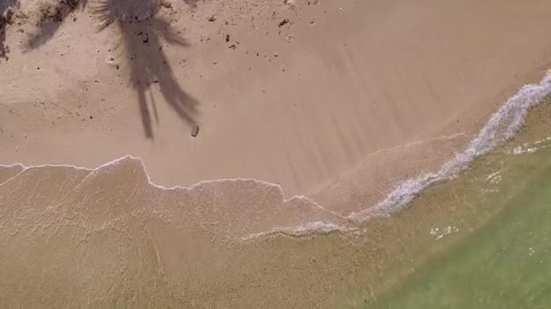 Flygfoto abstrakt av idylliska bukten stranden paus av aqua blått vatten med vit sand bakgrund — Stockvideo