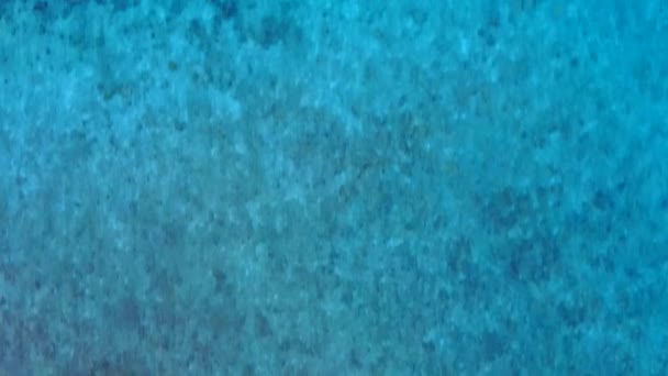 Αεροφωτογραφία πανόραμα εξωτικό τουριστικό ταξίδι στην παραλία από aqua μπλε του ωκεανού και καθαρό φόντο άμμο — Αρχείο Βίντεο