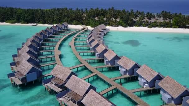 Luftaufnahme der ruhigen Lagune Strand Tierwelt durch klare Lagune und weißen Sandhintergrund — Stockvideo