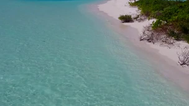 アクアブルーの海と白い砂の背景によるパラダイスベイビーチの野生生物の空中ドローンの風景 — ストック動画