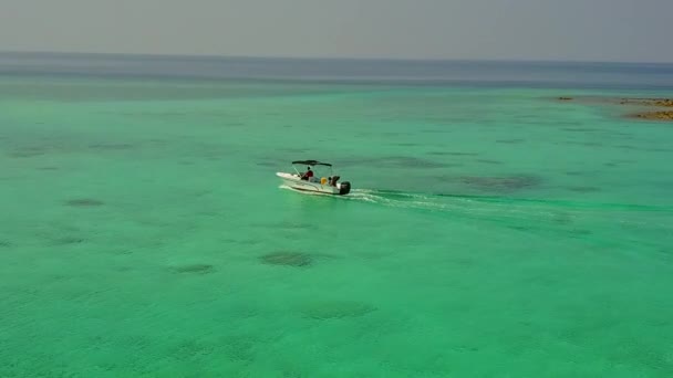 Drohnenhimmel der ruhigen Küste Strand Tierwelt durch türkisfarbene Lagune mit weißem Sandhintergrund — Stockvideo