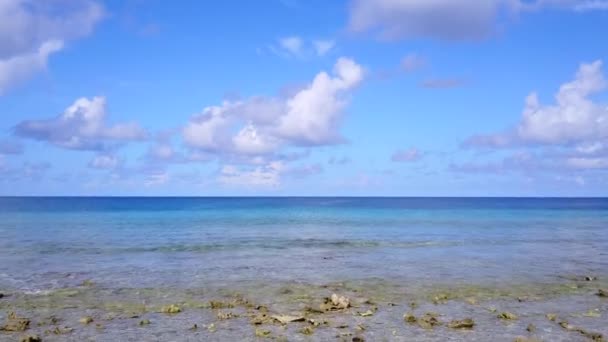 Воздушный беспилотник панорама экзотического пляжа с видом на море дикой природы на прозрачном море на белом песчаном фоне — стоковое видео