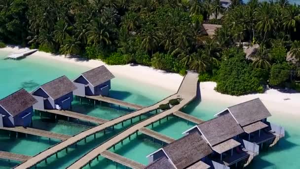 Luftdrohne abstrakt von schönen Küste Strand Tierwelt durch blauen Ozean und hellen sandigen Hintergrund — Stockvideo