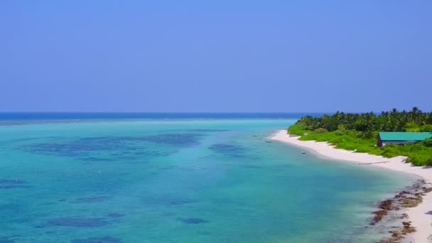 青いラグーンと白い砂浜の背景によって静かな島のビーチの野生生物のドローンの空 — ストック動画