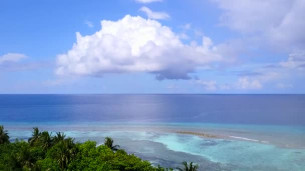 Turismo aéreo de drones de lujo playa de la vida silvestre por el agua verde azul y fondo de arena blanca — Vídeos de Stock