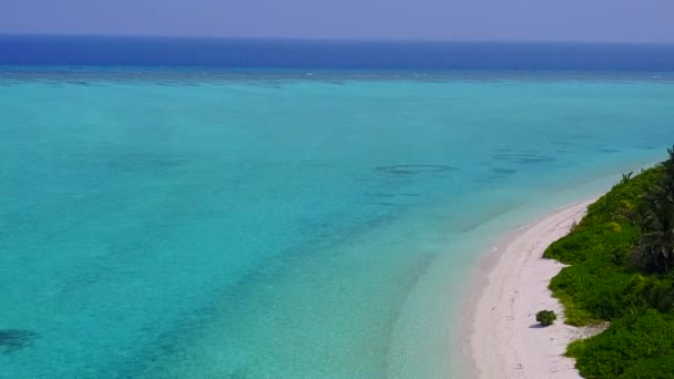 Légi turizmus paradicsomi üdülőhely strand vadon élő állatok sekély óceán és tiszta homok háttér — Stock videók
