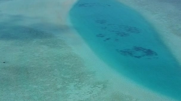 드론을 타고 얕은 초호와 하얀 모래를 배경으로 호화 로운 관광객 해변 야생 동물의 모습 — 비디오