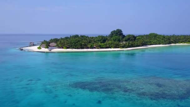 Luchtvaart drone toerisme van prachtige kustlijn strand wilde dieren door heldere oceaan en wit zand achtergrond — Stockvideo