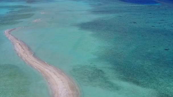 Drohne Luftbild von tropischen Touristenstrand Tierwelt durch blauen Ozean und weißen Sandhintergrund — Stockvideo