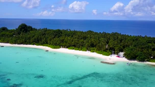 青い海ときれいな砂の背景による楽園の海の景色のビーチの休日の航空観光 — ストック動画