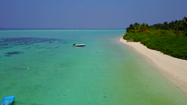 Luchtfoto drone natuur van zee lagune strand wilde dieren door blauwe zee met witte zandachtergrond — Stockvideo