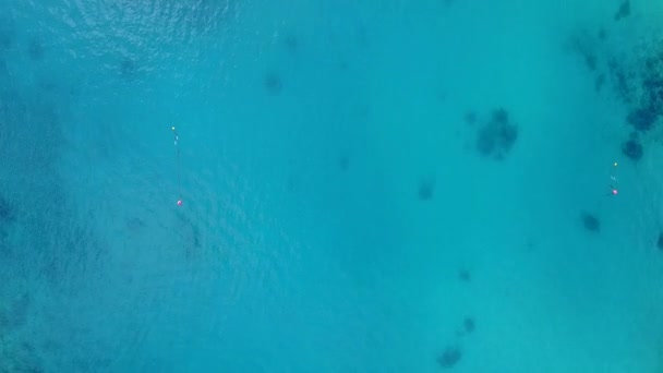 Deniz kıyısı yaban hayatının beyaz kumlu arka planlı sığ lagün üzerindeki insansız hava yolculuğu. — Stok video