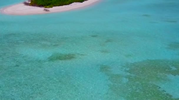 青い海と白い砂の背景によってリラックスラグーンのビーチの野生生物の空中ドローン観光 — ストック動画