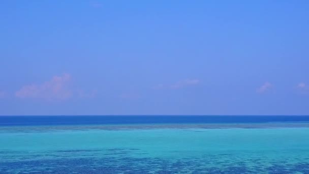 Drone panorama de détente littoral plage faune par lagon bleu-vert avec fond de sable blanc — Video