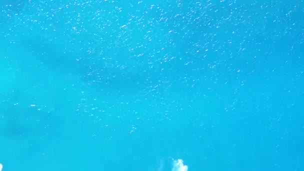 Flygdrönare himmel paradis ö strand djurliv vid klart hav med vit sand bakgrund — Stockvideo
