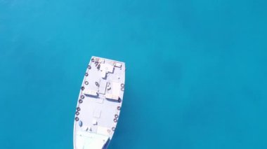 Beyaz kumlu arka planda, berrak deniz kıyısında rahatlayan sahil yaban hayatının insansız hava aracı görüntüsü.