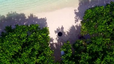 Aqua blue lagoon 'un beyaz kum zeminli güzel sahil kıyısı yaban hayatının deniz manzarası.