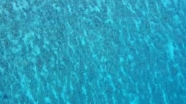 Güzel sahil sahili manzarası sığ deniz ve beyaz kum arkaplanı.