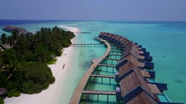 Sakin körfez sahil yaban hayatının açık deniz kenarındaki parlak kumlu arka planlı hava turizmi.