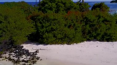 Mavi deniz ve beyaz kumlu arka planda güzel sahil yaban hayatının insansız hava aracı doğası