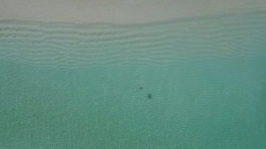 Şeffaf deniz ve temiz kumlu zemin ile tropikal sahil tatilinin insansız hava aracı manzarası