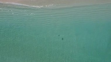 Lüks körfez sahil tatilinin hava aracı dokusu beyaz kum arka planlı mavi lagünün yanında.