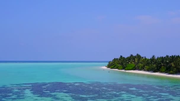 Drone aerial texture of luxury seashore beach journey by blue ocean with white sand background — Stock Video