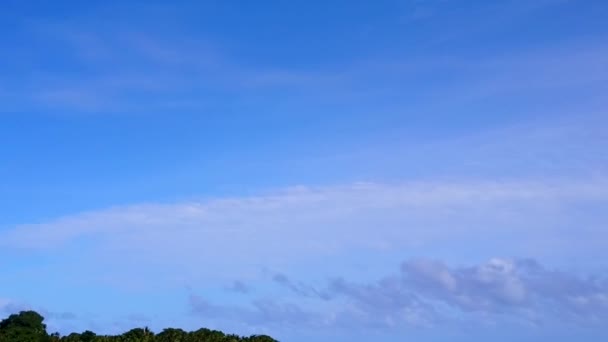 绿松石海、白沙背景下的异国情调海滨野生动物的空中风景 — 图库视频影像