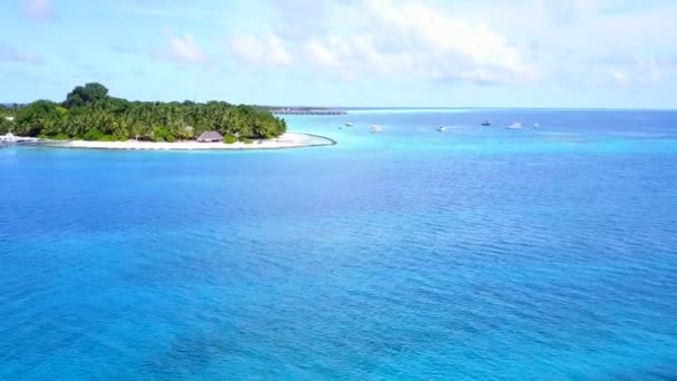 Luchtfoto drone abstract van rustig uitzicht op zee strand fauna door aqua blauwe zee en witte zandachtergrond — Stockvideo