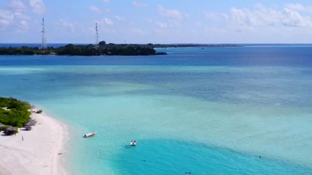 Drone utsikt landskap exotisk havsutsikt strand djurliv med blått hav och vit sand bakgrund — Stockvideo