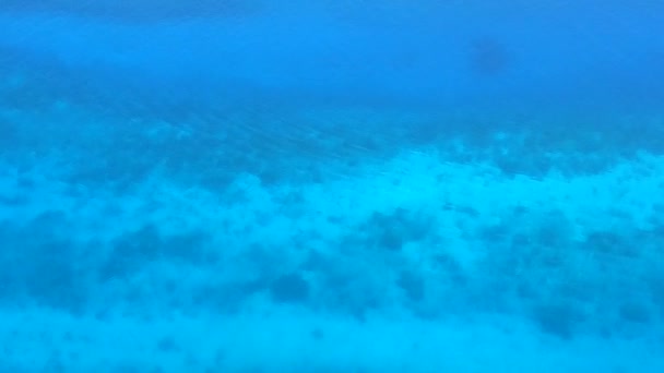 Su mavisi deniz ve beyaz kum arka planından mükemmel ada plajı yaşam tarzına sahip hava aracı gökyüzü. — Stok video