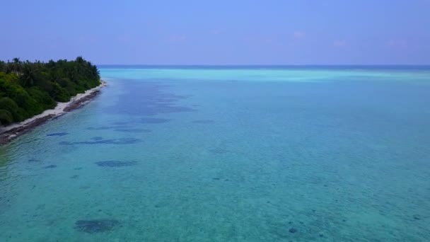 Aerial drone sky of luxury coast beach voyage by blue green sea and white sand background — Stock Video