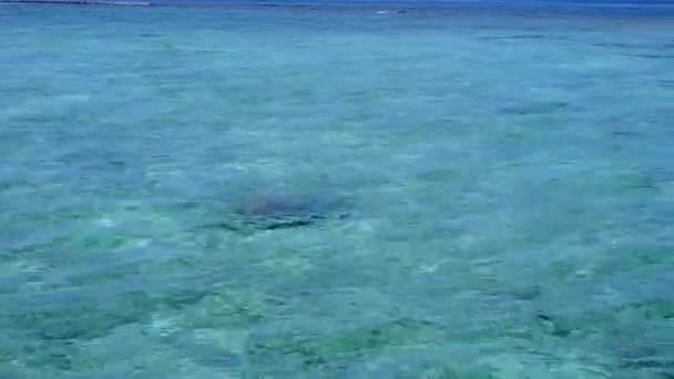 Luftbild eines exotischen Strandes am blauen Meer mit weißem Sandhintergrund — Stockvideo