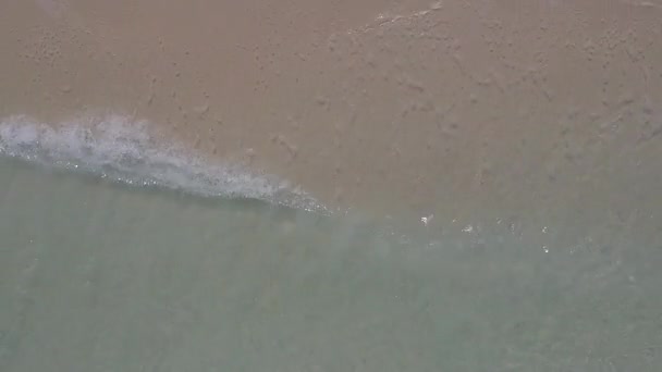 Drone utsikt turism vackra strand äventyr av grunt vatten och vit sand bakgrund — Stockvideo