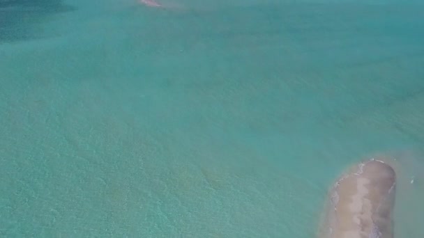 Drone turismo aéreo de bela lagoa praia vida selvagem por aqua mar azul e fundo de areia branca — Vídeo de Stock