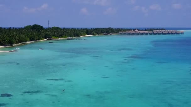 Drone cielo di perfetta vista mare spiaggia fauna selvatica da laguna poco profonda e sfondo di sabbia bianca — Video Stock