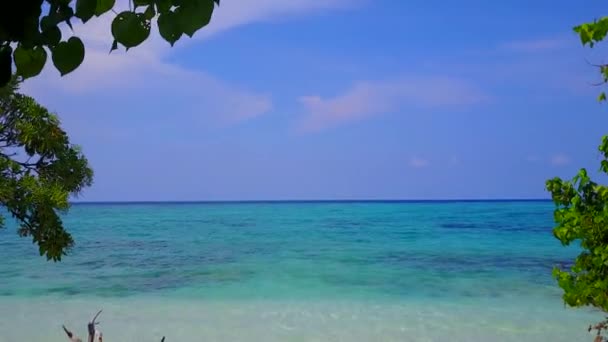 Drone aéreo resumo do paraíso praia praia vida selvagem por lagoa azul com fundo arenoso branco — Vídeo de Stock