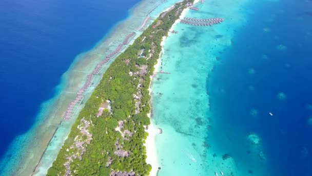 Drone antenne natuur van rustige kustlijn strand wilde dieren door aqua blauwe oceaan en heldere zandige achtergrond — Stockvideo