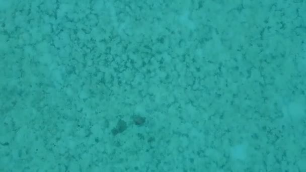 Luchtfoto zeegezicht van paradijs kust strand reis door transparante lagune en witte zandachtergrond — Stockvideo