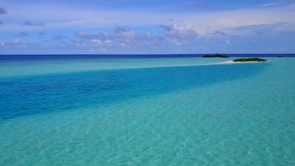 Aerial drone abstract of luxury tourist beach wildlife by turquoise lagoon with white sandy background — Stock Video