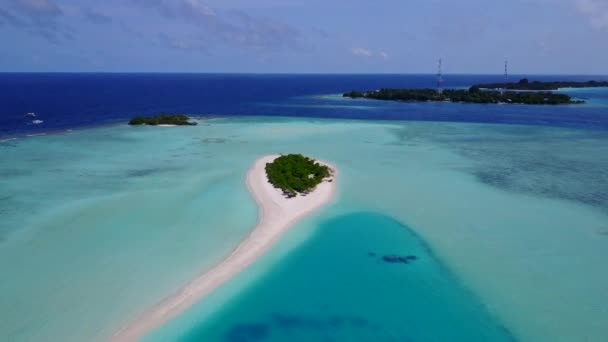 Résumé de drone aérien de la faune marine de plage de baie par l'océan clair et le fond sablonneux blanc — Video