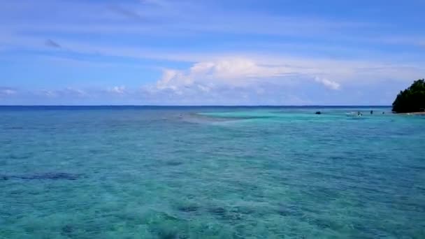 Ciel drone aérien de luxe côte plage faune par l'eau bleue et fond sablonneux blanc — Video