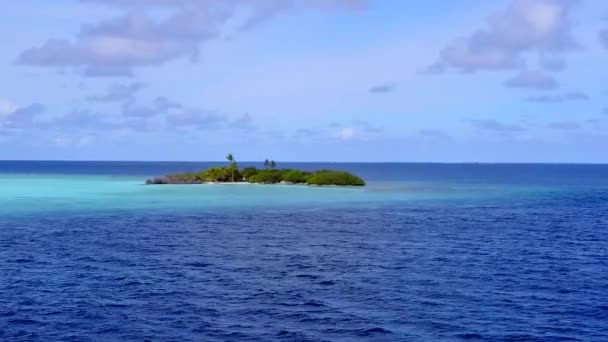 Aereo drone paesaggio di esotici vista mare spiaggia fauna selvatica dal mare limpido con sfondo di sabbia brillante — Video Stock