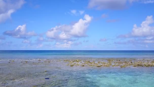Drone vista paisagem de mar perfeito vista praia vida selvagem por lagoa transparente com fundo arenoso branco — Vídeo de Stock