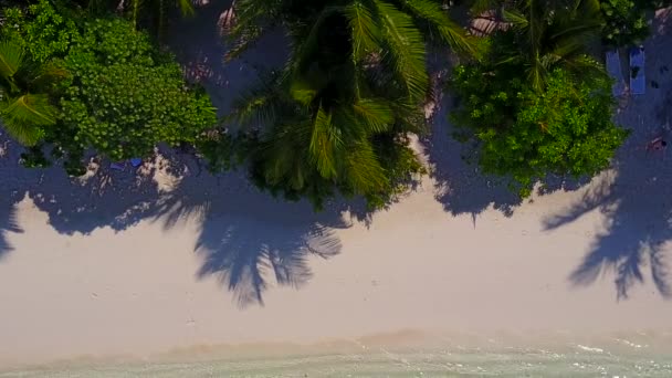 Drone aerial nature of exotic tourist beach wildlife by blue lagoon with white sandy background — Stok Video