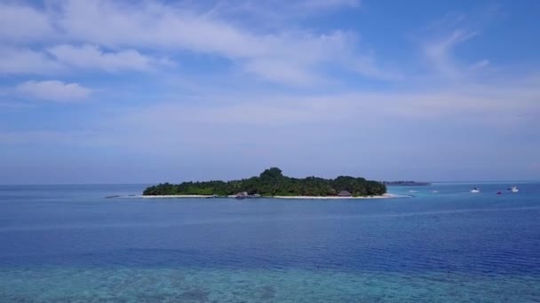 白い砂浜の背景を持つ浅い海によるエキゾチックなリゾートビーチの野生動物の空中ビューテクスチャ — ストック動画