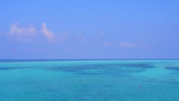 青い海と白い砂浜の背景による美しい海岸のビーチの野生生物のドローン観光 — ストック動画