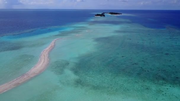 浅浅湖清沙背景下的天堂海景海滩野生动物空中旅游 — 图库视频影像