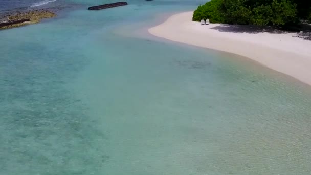 Luchtfoto panorama van luxe kust strand fauna door blauwe oceaan en witte zandachtergrond — Stockvideo