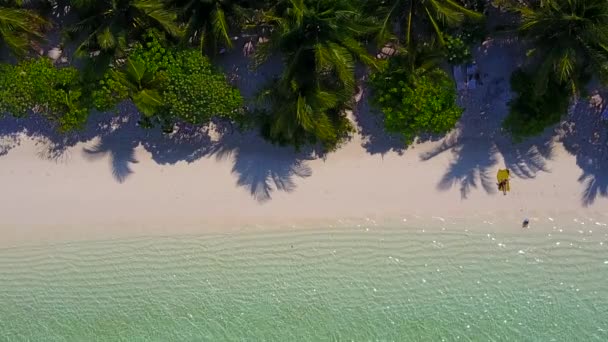 Textura aérea de exótica vista al mar tiempo de playa por mar turquesa y fondo de arena blanca — Vídeo de stock